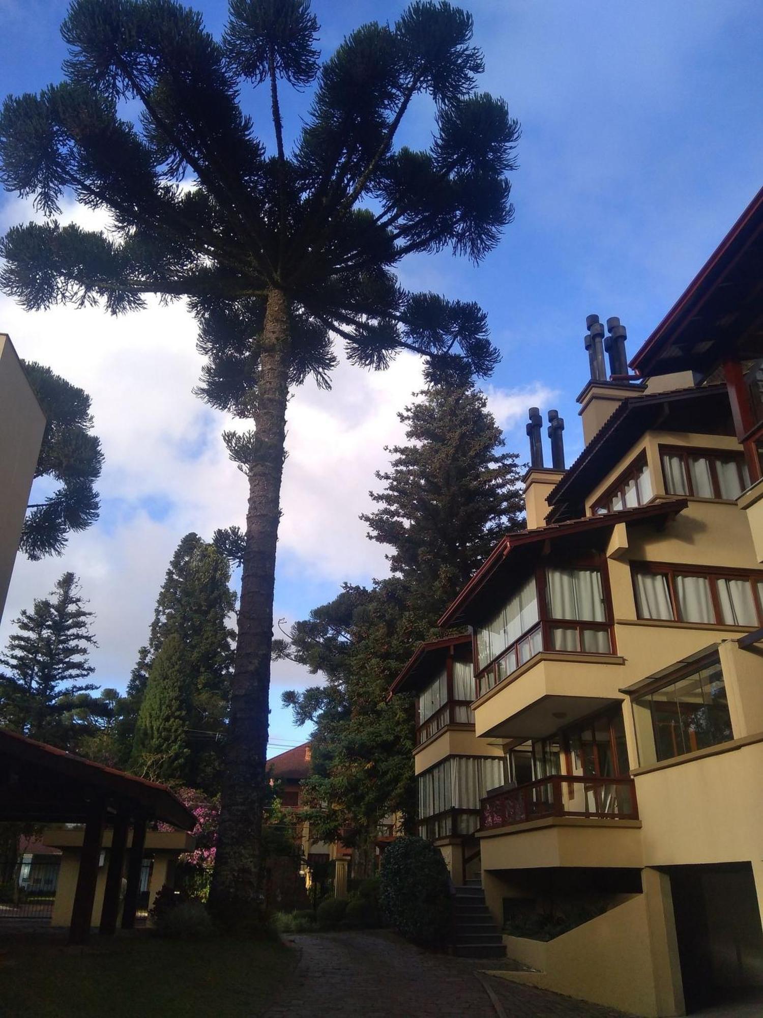 Estação das Hortênsias, sua casa em Gramado Exterior foto