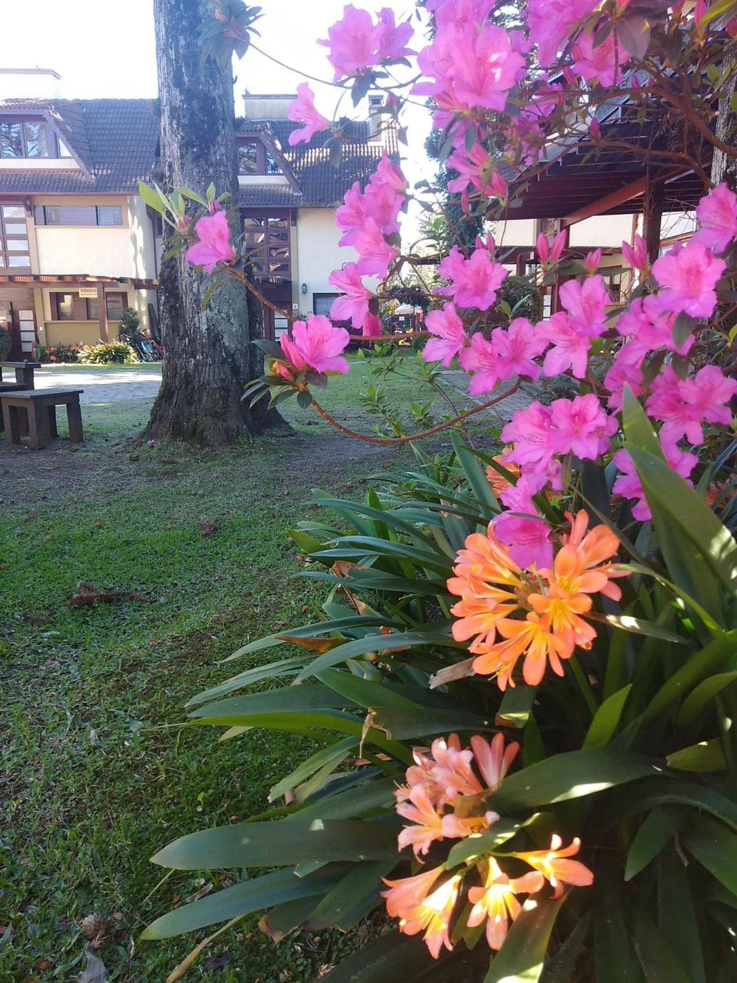 Estação das Hortênsias, sua casa em Gramado Exterior foto